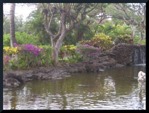 Beautiful Hawai'ian Garden (c) 2004 DCoyote