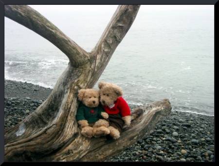 Teddy and Tinker on the beach  (c) 2003 DCoyote