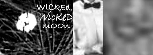 Wicked Wicked Moon Banner