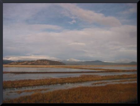 Klamath Lake, Oregon (c) 2003 DCoyote