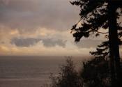 Now comes the storm, Sooke © 2008 David Coyote