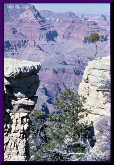 'Grand Canyon'  February 14, 1982 - 2005 David Coyote